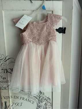 NWT Designer Infant Monsoon Blush Pink Lace & Tulle Dress